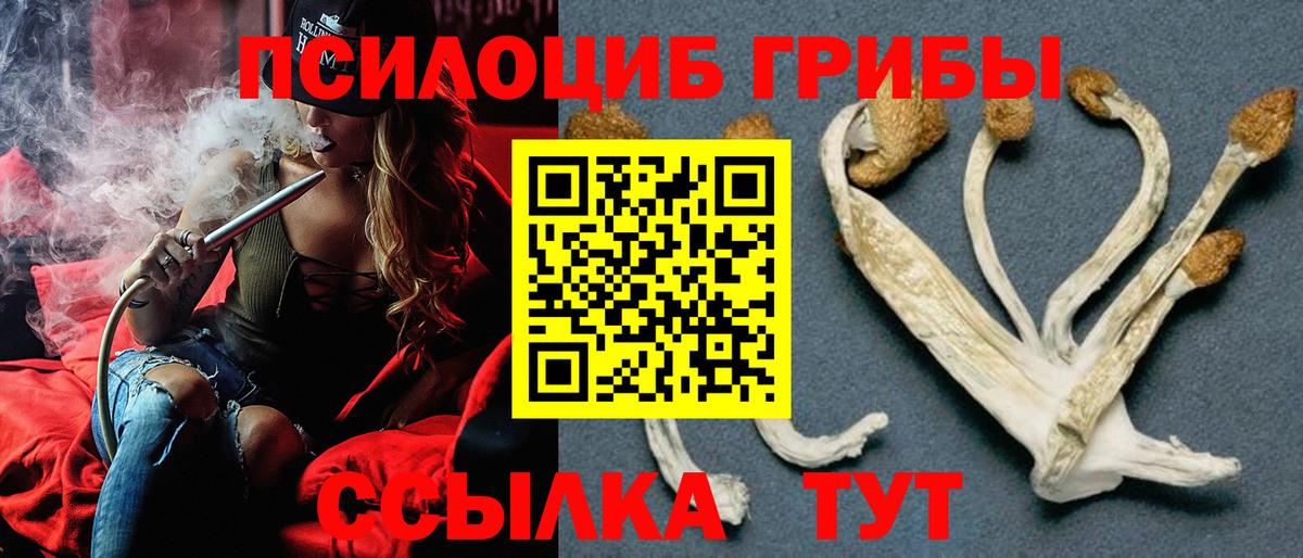 Псилоцибиновые грибы MAGIC MUSHROOMS Междуреченск