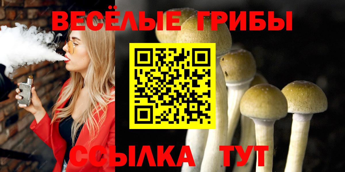 Междуреченск  купить  сайты  Галлюциногенные грибы GOLDEN TEACHER  Вход с VPN  Галлюциногенные грибы GOLDEN TEACHER 